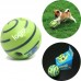 Pet Chew Toy/sound ball